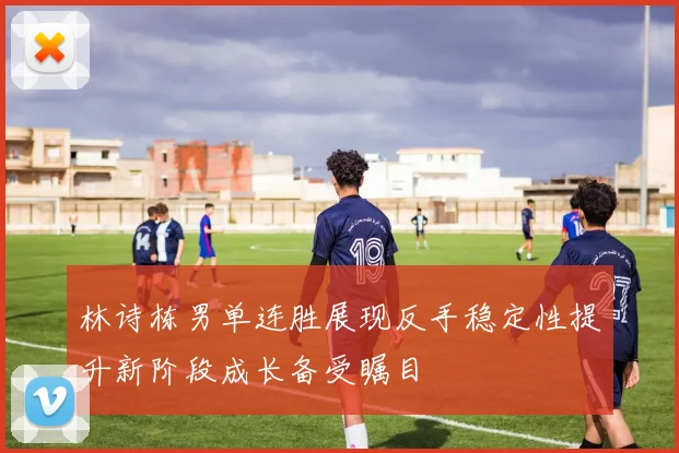 林诗栋男单连胜展现反手稳定性提升新阶段成长备受瞩目
