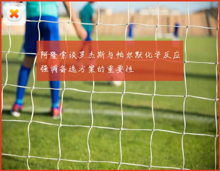 阿隆索谈罗杰斯与帕尔默化学反应强调备选方案的重要性